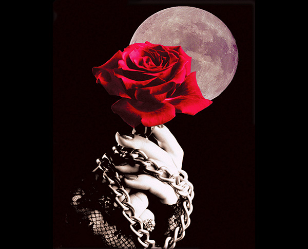 Deadly Rose, Rose Moon etc